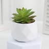 Mini Artificial Succulent Bonsai Plant  Realistic Fake Cactus Decor For Home  Office 14