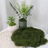 DIY Green Artificial Moss Decor  Faux Preserved Moss For Crafts Terrariums  Garden Styling 7