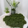 DIY Green Artificial Moss Decor  Faux Preserved Moss For Crafts Terrariums  Garden Styling 8