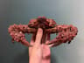 Real Crab Specimen Display  Handcrafted Preserved Crab Ornament For Collectors  Unique Home Decor 6