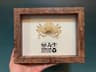 Real Crab Specimen Display  Handcrafted Preserved Crab Ornament For Collectors  Unique Home Decor 11