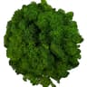 Artificial Reindeer Moss Decor  Faux Green Moss For Crafts Potted Plants  Wall Art 6