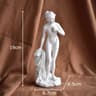 Venus Goddess Resin Statue  Mythological Desk Sculpture Aesthetic Room Decor 9