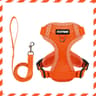 Reflective Breathable Dog Harness With Leash  Adjustable NoPull Pet Vest For Small  Medium Dogs And