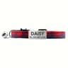 Custom Engraved Plaid Pet Collar  Adjustable Breakaway Cat  Puppy Collar With Personalized ID Tag A 11