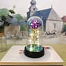 Eternal LED Rose Flower Gift 9