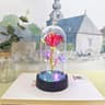 Eternal LED Rose Flower Gift 14