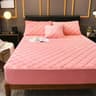 Plush Thickened Crystal Velvet Quilted Mattress Cover 18