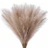Artificial Pampas Grass Red Faux Reeds Decor 55cm Set 9