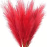 Artificial Pampas Grass Red Faux Reeds Decor 55cm Set 11