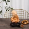 Cute Mini Monk Buddha Resin Figurine 15