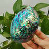 Natural Paua Abalone Shell Smudge Kit With Stand 10