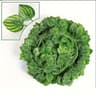 Artificial Ivy Vine Garland Hanging Decor 15
