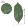 Artificial Magnolia Leaves Set PU Realistic Leaves For DIY Decor 6