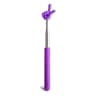 Telescopic Stainless Steel Teaching Pointer Stick 7