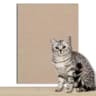 Self Adhesive Cat Scratch Protector Carpet Wall Mat 11