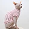 Breathable Summer Striped Shirt For Sphynx Cats 3