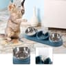 3 In 1 Triple Cat Food And Water Bowl With 15 Degree Tilt 8