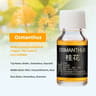 Natural Essential Oil Car Diffuser Refill LongLasting Car Perfume Refill 10ml 0