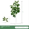 Lifelike Artificial Eucalyptus Stems For Elegant Home  Wedding Decor 5