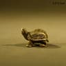 Feng Shui Turtle Brass Figurine For Wealth And Protection  Vintage Desk Decor Turtle 8