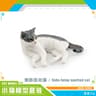 Lifelike Orange Cat Figurine  Realistic Mini Cat Ornament For Desk Decor 7