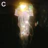 JellyGlow Hanging Jellyfish Lamp  Colorful Ocean Night Light  LED Mood Decor 8