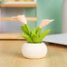 Mini Flower Pot Elf Car Dashboard Ornament 2