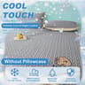 Ice Fabric Cooling Sleeping Mat Breathable Jacquard Summer Bed Pad 6