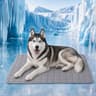 Cooling Dog Mat Summer Pet Cooling Pad For Dogs And Cats 7