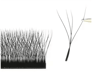 MARIA 4D W Shaped Beam Lash Extensions Easy Fan Russian Volume Clusters 2