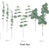 EverGreen Bulk Eucalyptus Stems Set  Mixed Silver Dollar Artificial Leaves 3060120PCS 3