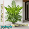 50Inch Artificial Palm Tree Realistic Tropical Plant For Indoor  Outdoor Decor 1