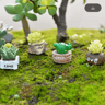 Mini Animal Figurines Set Cute Fairy Garden  Bonsai Miniature Decor 15