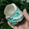Natural Hermit Crab Shell Set  Decorative Large Seashells For Decor 911cm Coastal Accents 1