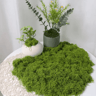 Artificial Green Moss For Crafts  Faux Preserved Moss For Home  Garden Decor 1