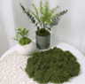 Artificial Green Moss For Crafts  Faux Preserved Moss For Home  Garden Decor 5