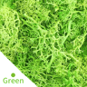 Natural Look Artificial Green Moss Preserved Moss Decor For Mini Gardens  Wall Accents 7