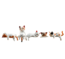 Miniature Cat Figurine Decor  Cute 3D Desk  Shelf Animal Ornament 3