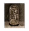 Vintage Owl Wall Art Moody Cottagecore Dark Academia Nature Canvas Print 11