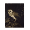 Vintage Owl Wall Art Moody Cottagecore Dark Academia Nature Canvas Print 18