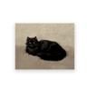 Vintage Owl Wall Art Moody Cottagecore Dark Academia Nature Canvas Print 19