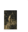 Vintage Owl Wall Art Moody Cottagecore Dark Academia Nature Canvas Print 2