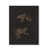 Vintage Owl Wall Art Moody Cottagecore Dark Academia Nature Canvas Print 8