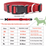 Adjustable Nylon Pet Collar For Puppies Kittens Dogs  Cats 11