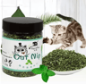 Organic Natural Catnip Toy  MintFlavored Interactive Cat Entertainment Toy 3