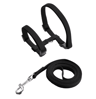Escape Proof Pet Harness And Leash Set For Small Dogs  Cats 6