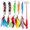 Retractable Cat Wand Toy Set  Feather Teaser With Caterpillar Replacement Heads 1