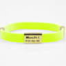 Name Safe Custom Pet Collar  Personalized Engraved Breakaway Collar For Cats Kittens  Small Dogs 1