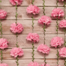 25m Tissue Paper Pom Pom Flower Garland 2